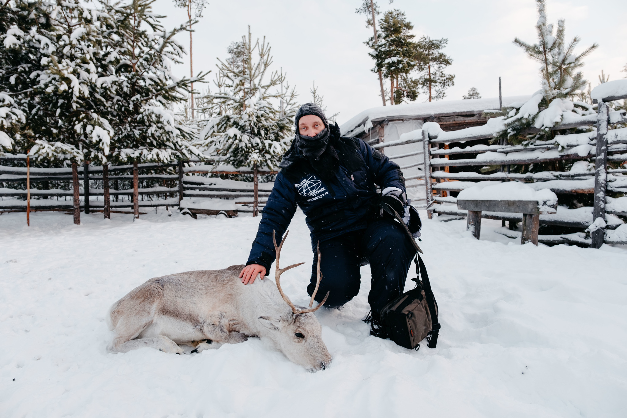 Onions-Yaun and Siberian palm trees - My, Travel across Russia, Tourism, Khanty, Travels, Reindeer, Deer, Camp, Longpost