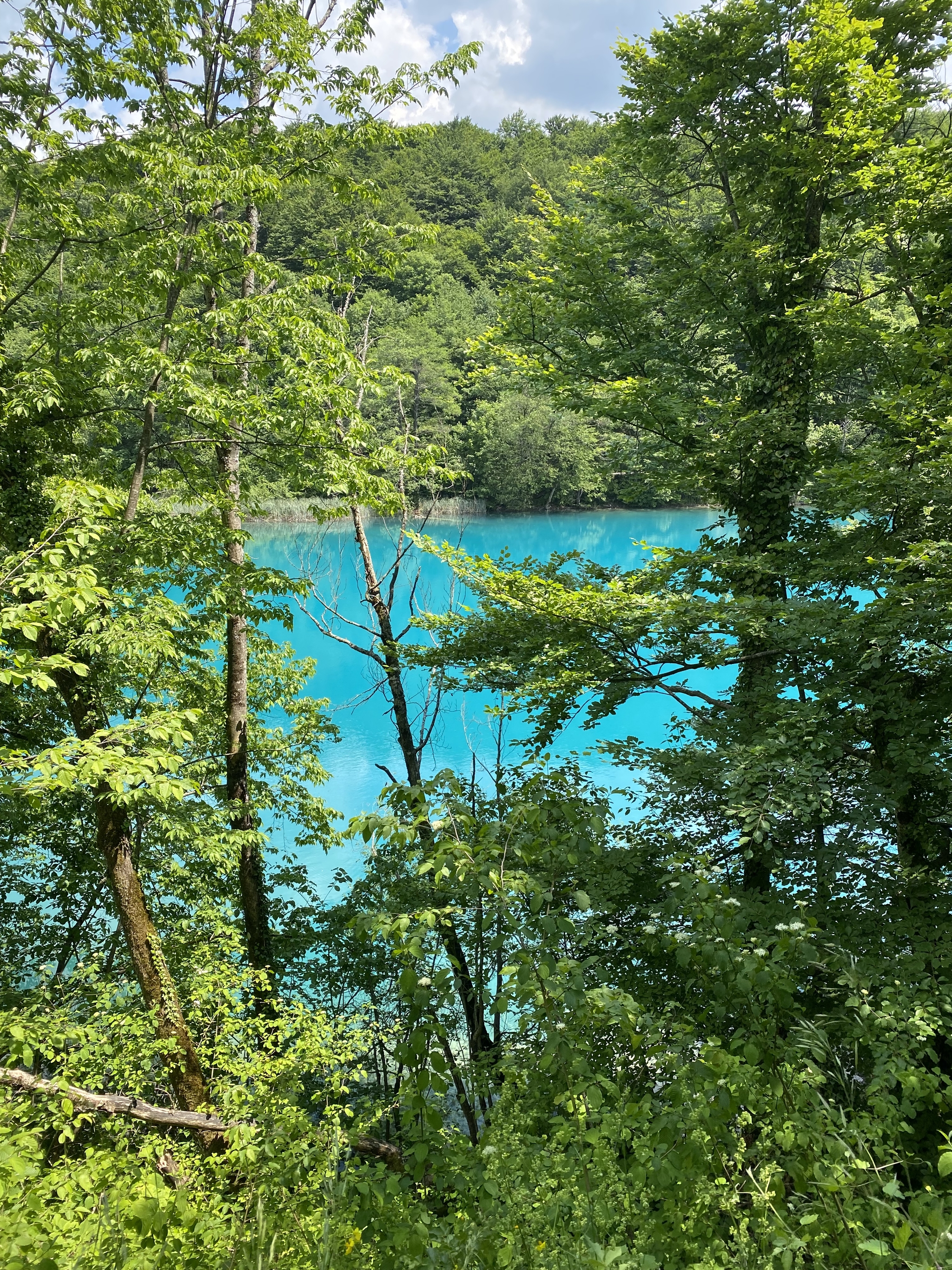 Plitvice Lakes, Croatia - My, Travels, The mountains, Lake, Plitvice Lakes, Croatia, Tourism, No filters, Longpost, The photo