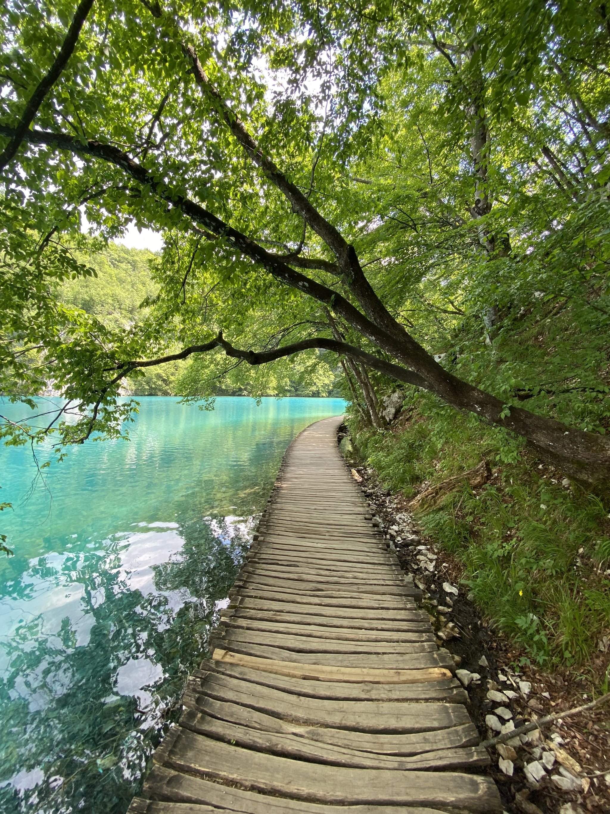 Plitvice Lakes, Croatia - My, Travels, The mountains, Lake, Plitvice Lakes, Croatia, Tourism, No filters, Longpost, The photo