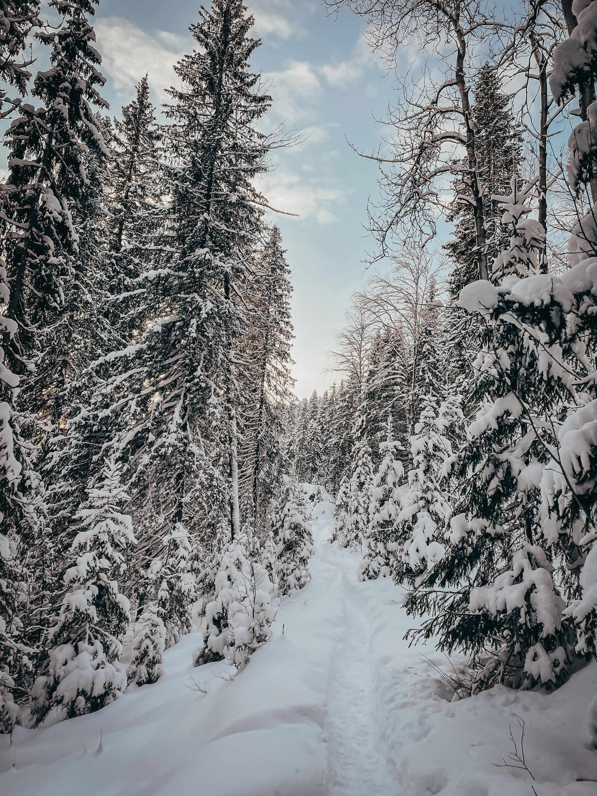 Ural winter - My, The photo, beauty of nature, Nature, Ural, The nature of Russia, Longpost