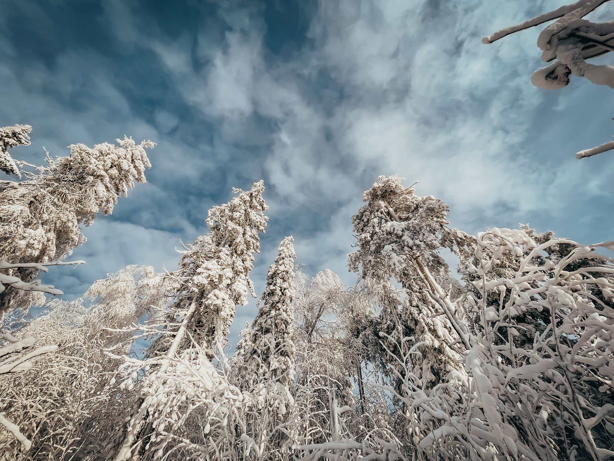 Ural winter - My, The photo, beauty of nature, Nature, Ural, The nature of Russia, Longpost