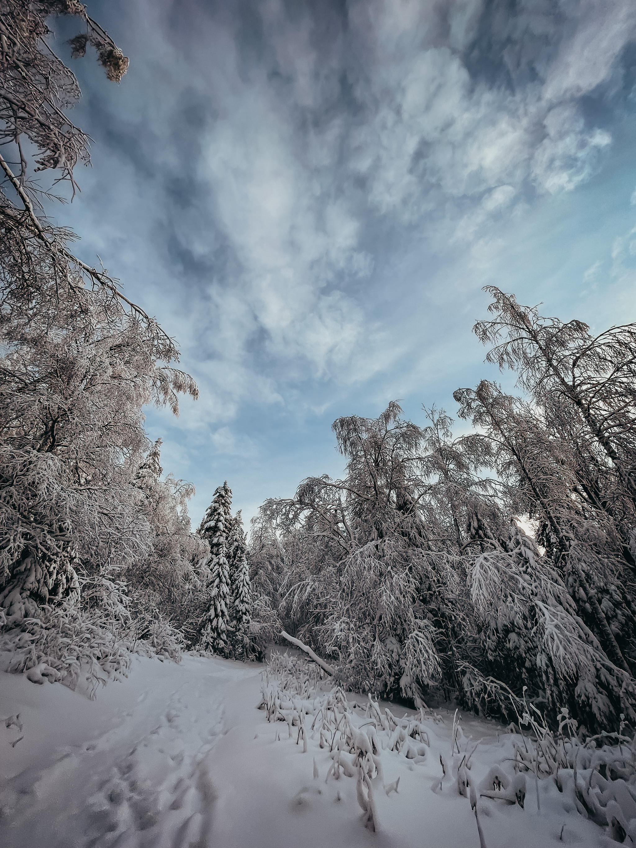 Ural winter - My, The photo, beauty of nature, Nature, Ural, The nature of Russia, Longpost