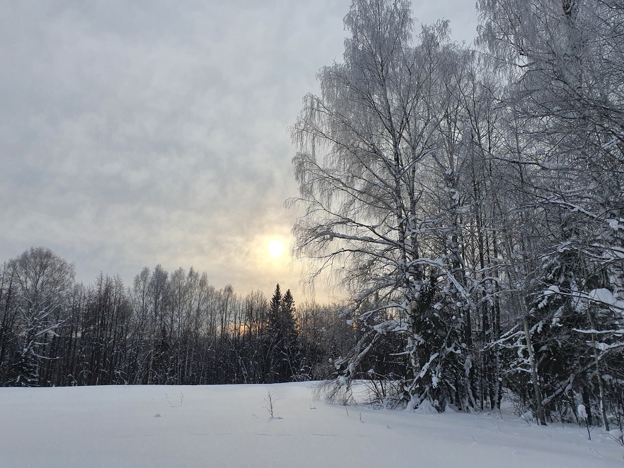 Winter - My, Winter, Mobile photography, Sverdlovsk region, Longpost