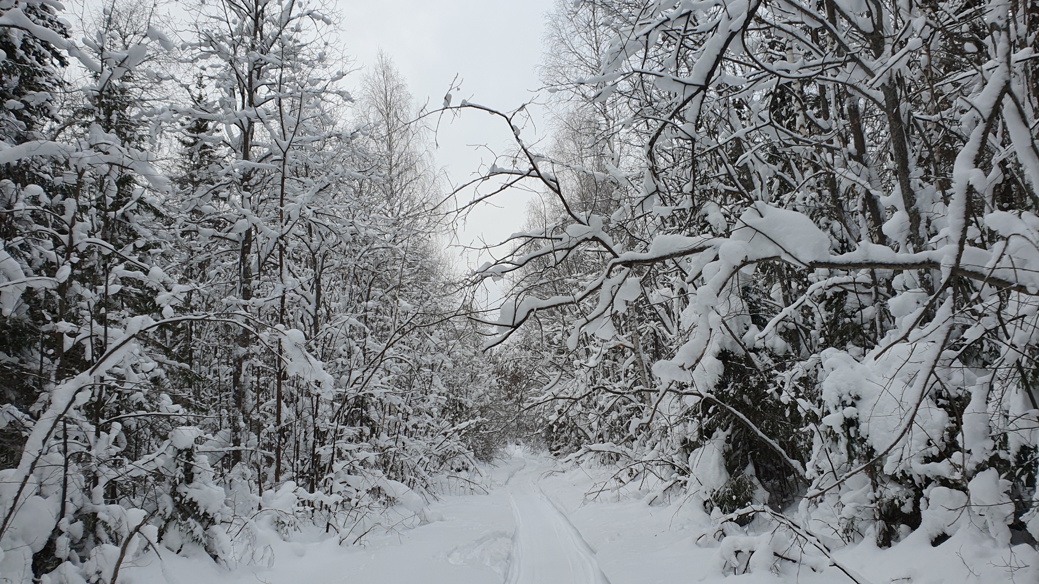 Winter - My, Winter, Mobile photography, Sverdlovsk region, Longpost