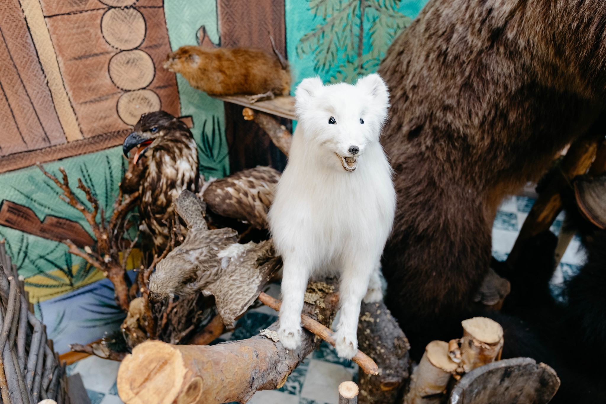 Fox tails, baby umbilical cords and other exotics of Siberia - My, Travel across Russia, Travels, Khanty, Museum, Longpost