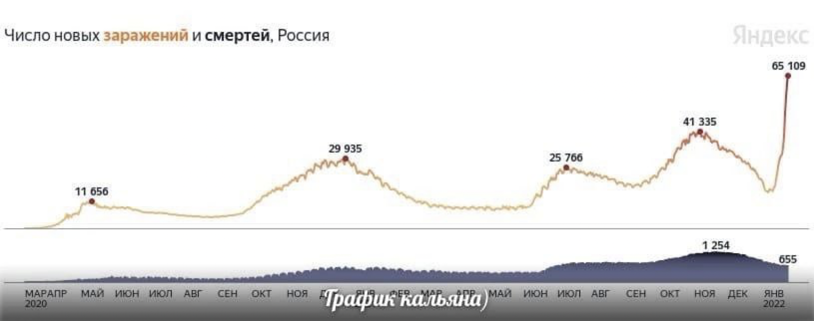 Response to the post This is no longer a wave, but a tsunami - Coronavirus, Statistics, Russia, Hookah, Reply to post