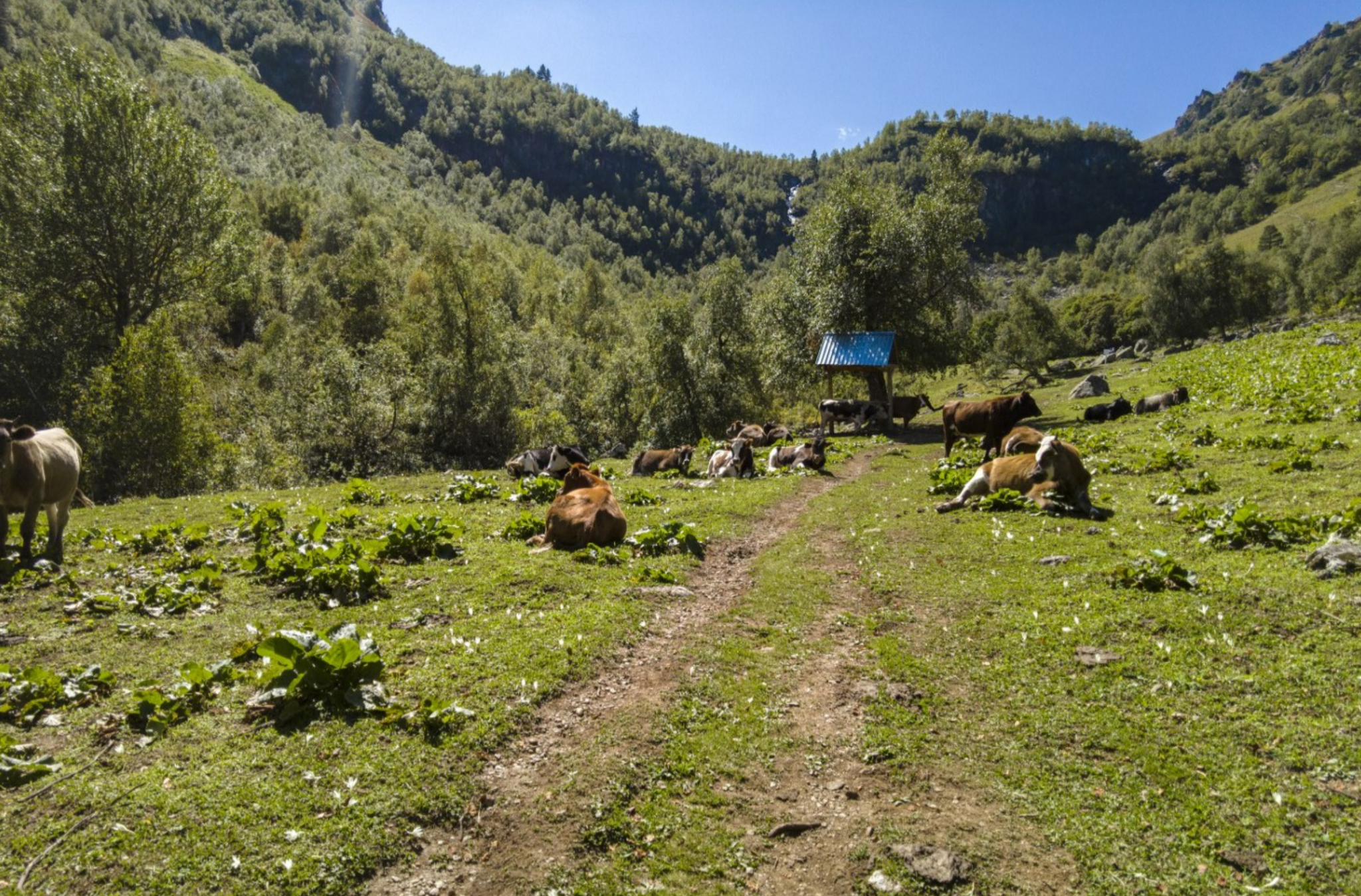 Arkhyz 2021: Taulu glade and route to the lakes of the Orlyonok gully - My, Travels, Caucasus, Nature, Russia, beauty of nature, Mountain tourism, Tourism, Lake, Waterfall, The nature of Russia, Travel across Russia, Arkhyz, Video, Longpost, Video blog