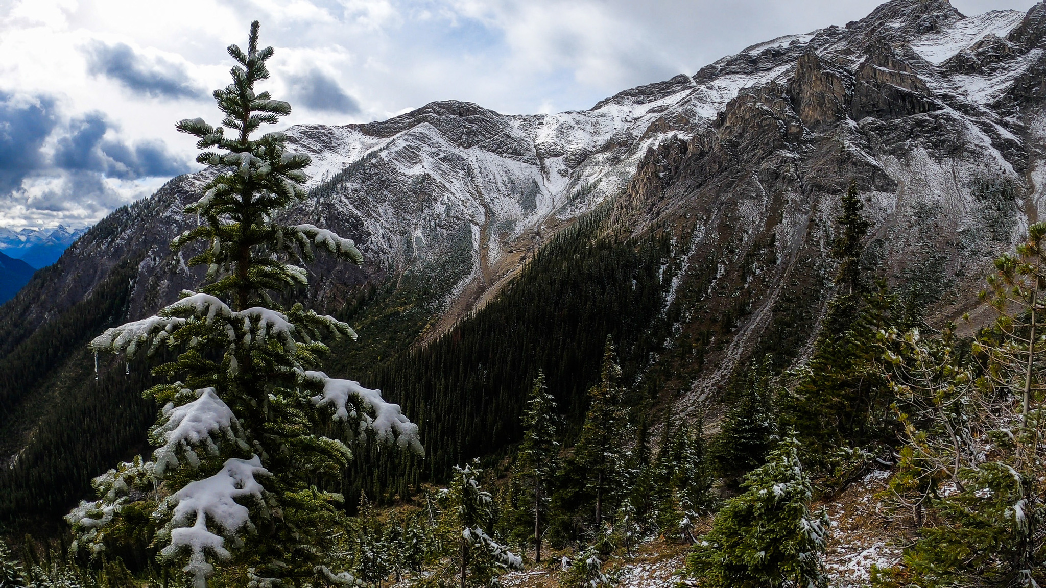 The first snow pass of the season! - My, The mountains, Canada, Mountaineering, Pass, Hike, Nature, Video, Longpost