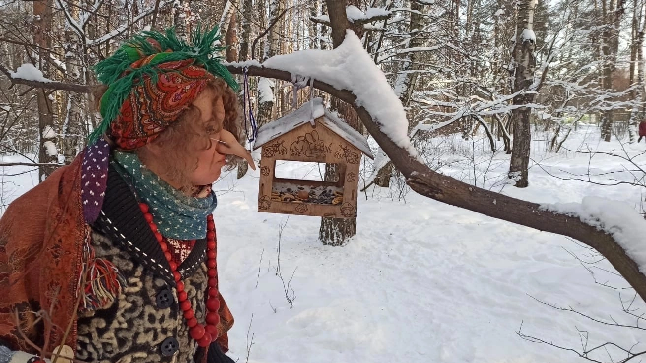 In the Piskaryovsky Park of St. Petersburg, Baba Yaga now monitors cleanliness - Nature, Garbage, Village