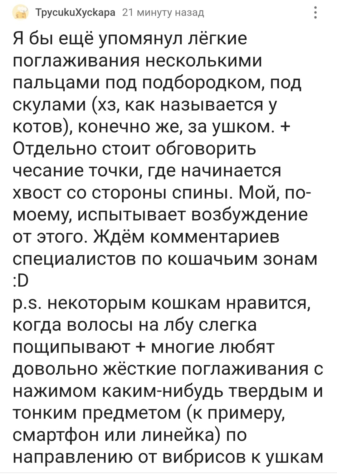 Ответ на пост «Как правильно чесать кота)» - Моё, Кот, Пушистые, Почесушки, Вертикальное видео, Британский кот, Эксперимент, Методика, Видео, Ответ на пост, Длиннопост