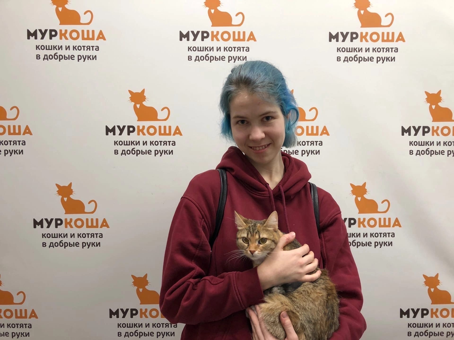 We are glad to share our successes with you - My, Murkosh shelter, Animal shelter, cat, Touching, Making the World Better, Found a home, Positive, Video, Longpost