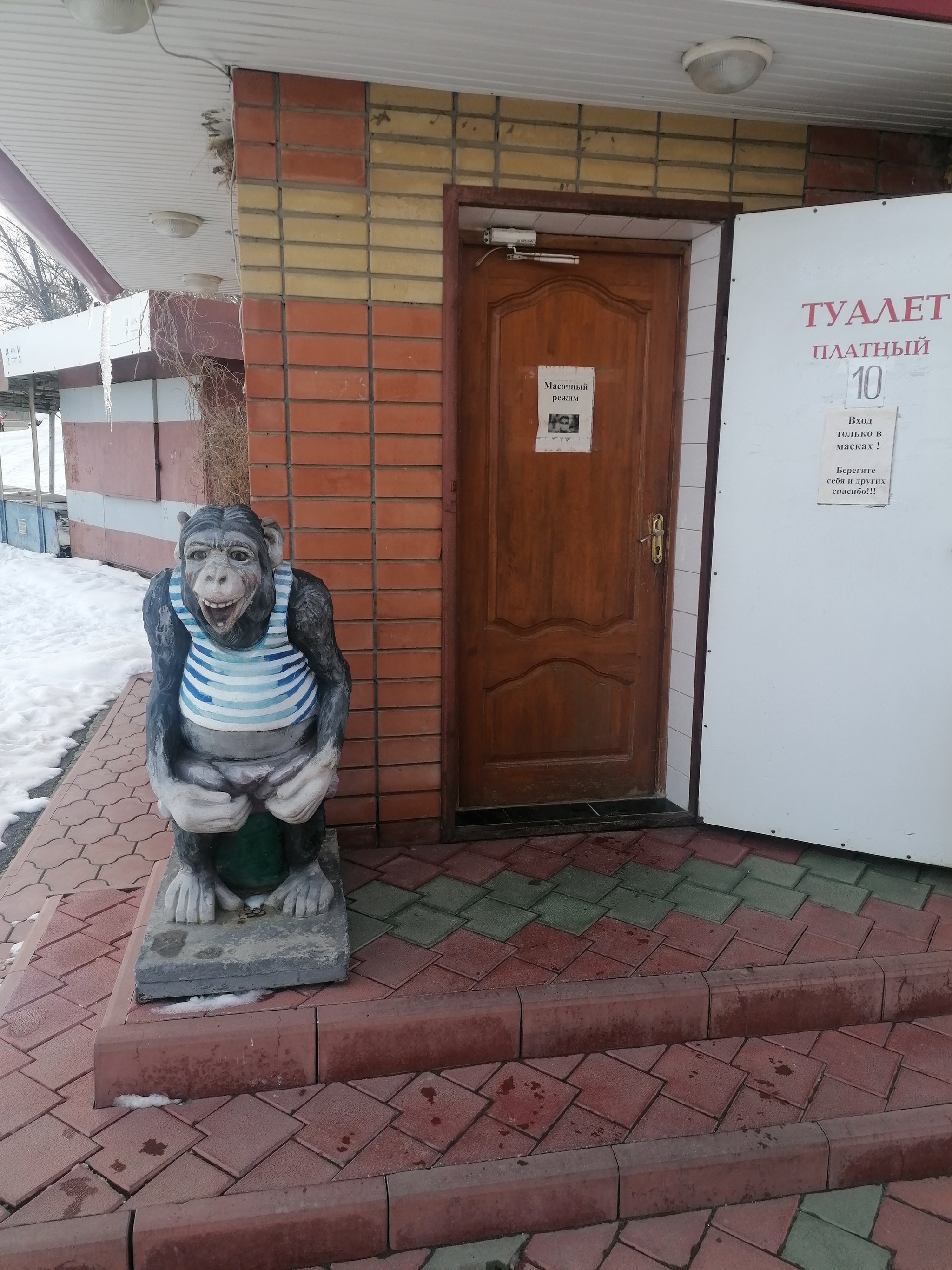 Sculpture - My, Stavropol, Toilet, Monkey, Pie, Longpost