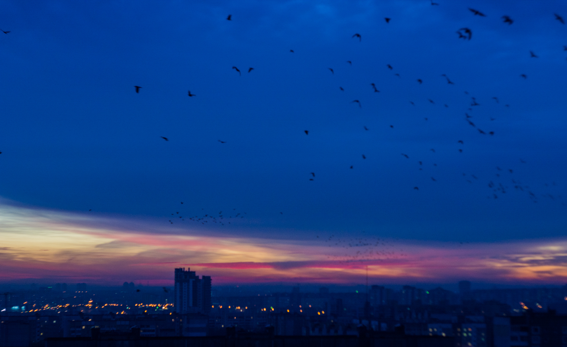 Dawn Twilight - My, Landscape, The photo, Town, Morning, Minsk, Republic of Belarus, Birds, Sky, Longpost