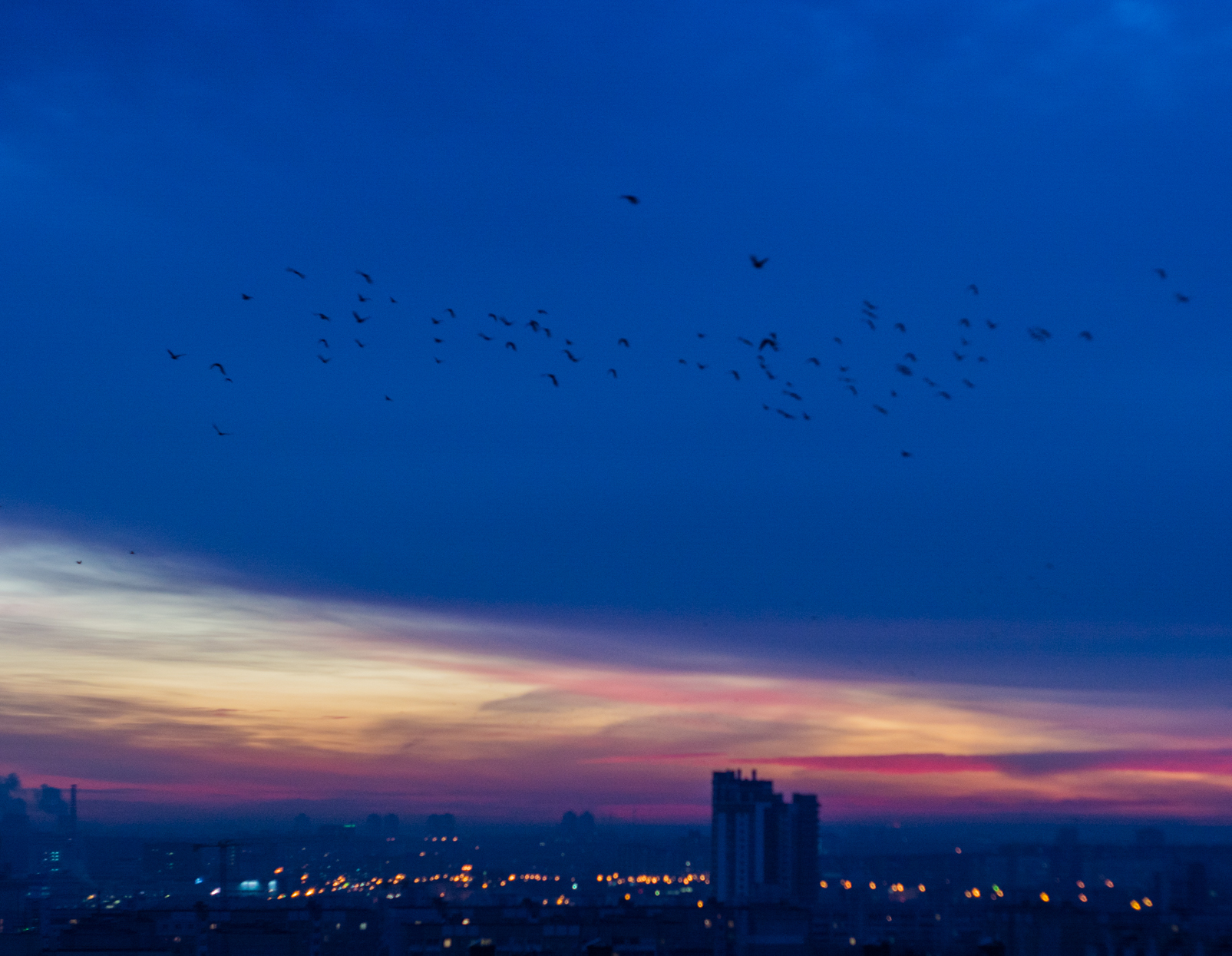 Dawn Twilight - My, Landscape, The photo, Town, Morning, Minsk, Republic of Belarus, Birds, Sky, Longpost