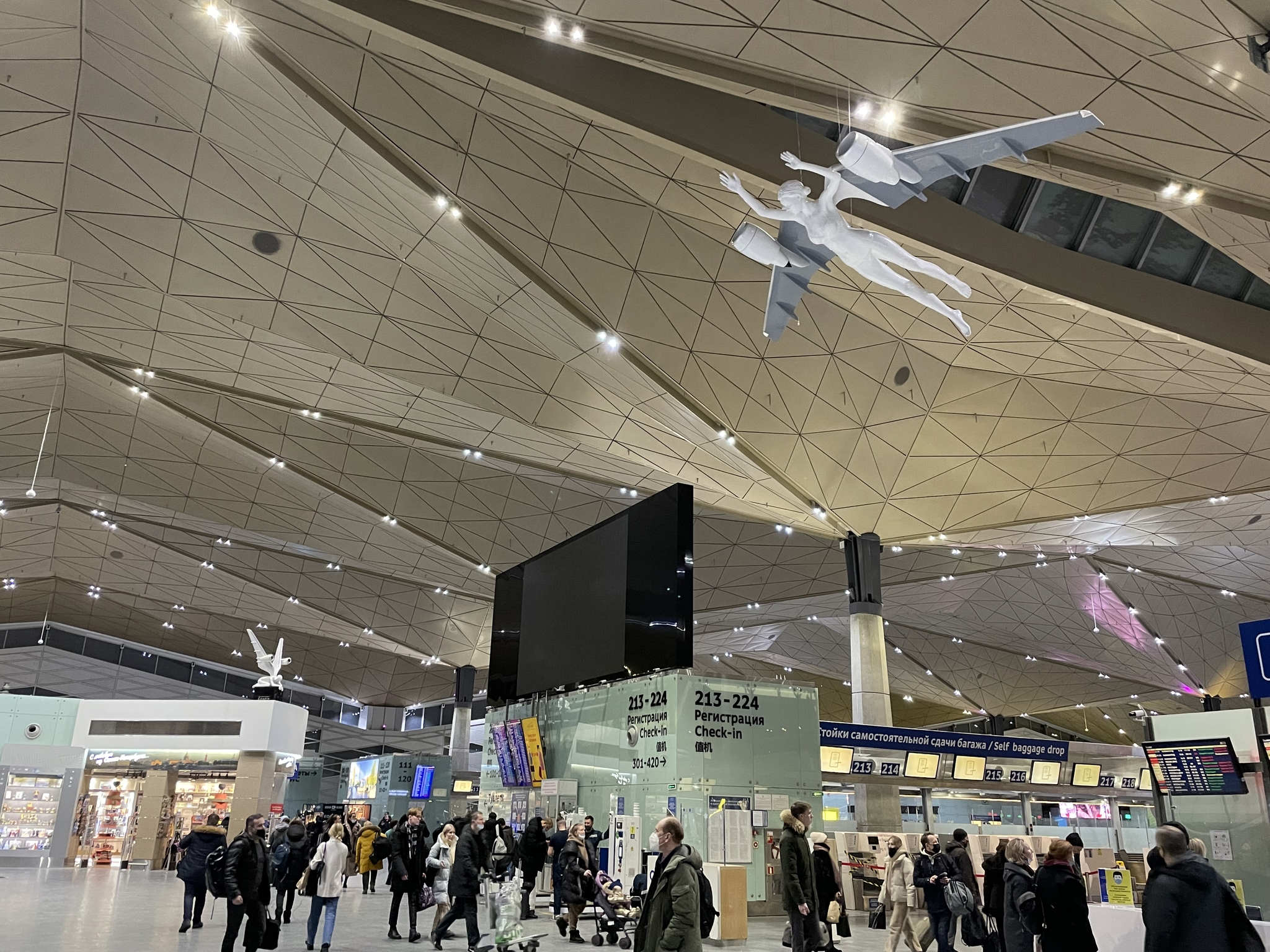 Pulkovo - Pulkovo, Airplane, Wings, Longpost