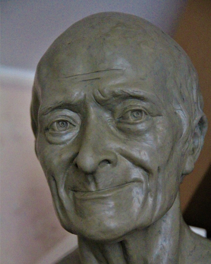 Voltaire - My, Portrait, Sculpture, Art, Лепка, Creation, Art, With your own hands, Handmade, Needlework without process, Artist, Plasticine