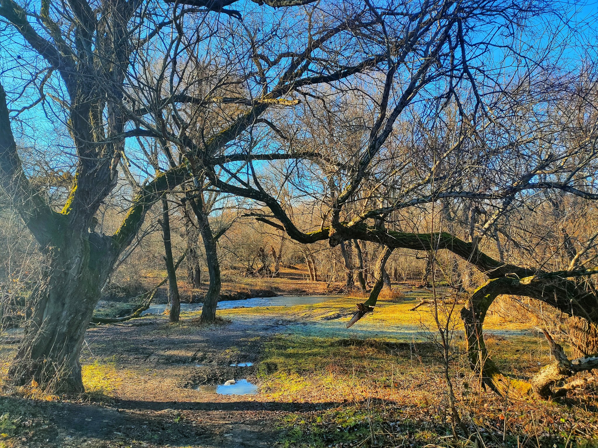 Where can I find a syllable to describe a walk... - My, Mobile photography, Kislovodsk, Longpost