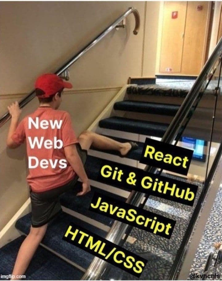 When I Became a Web Developer in a Week - IT humor, Picture with text, Children