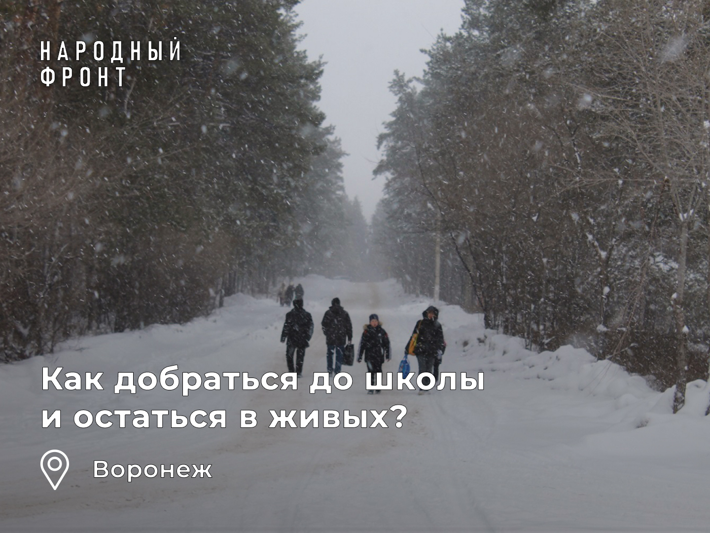 Voronezh officials deprived children of a school bus due to the lack of a pedestrian crossing - My, Voronezh, Children, Safety, School, The photo, Officials, Parents, Longpost