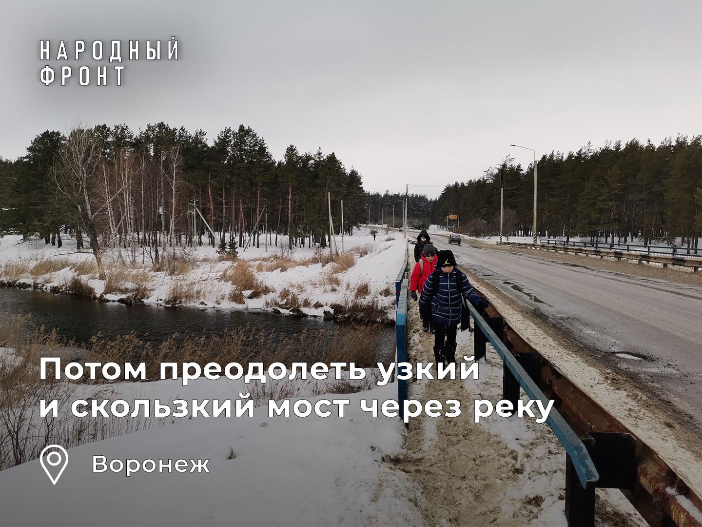 Voronezh officials deprived children of a school bus due to the lack of a pedestrian crossing - My, Voronezh, Children, Safety, School, The photo, Officials, Parents, Longpost