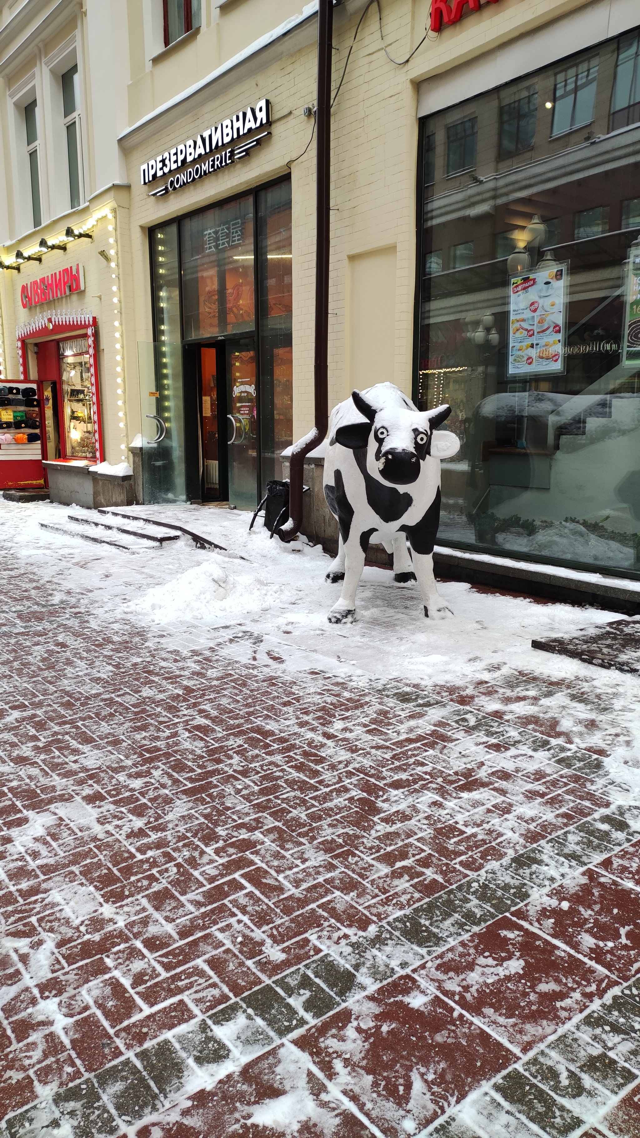 The Cow Knew Zen - Cow, Arbat, Moscow