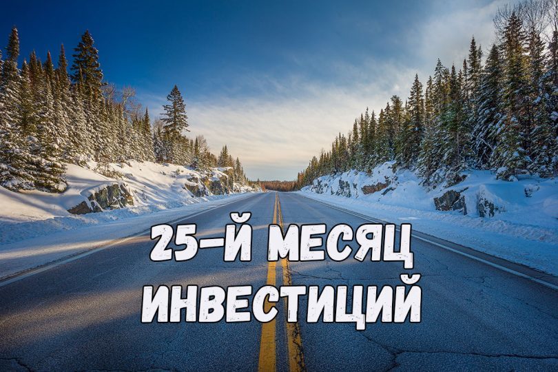 25-й месяц моих инвестиций! Состояние инвестиционного портфеля в январе 2022 - Моё, Инвестиции, Деньги, Финансы, Ранняя пенсия, Фондовый рынок, Накопления, Длиннопост