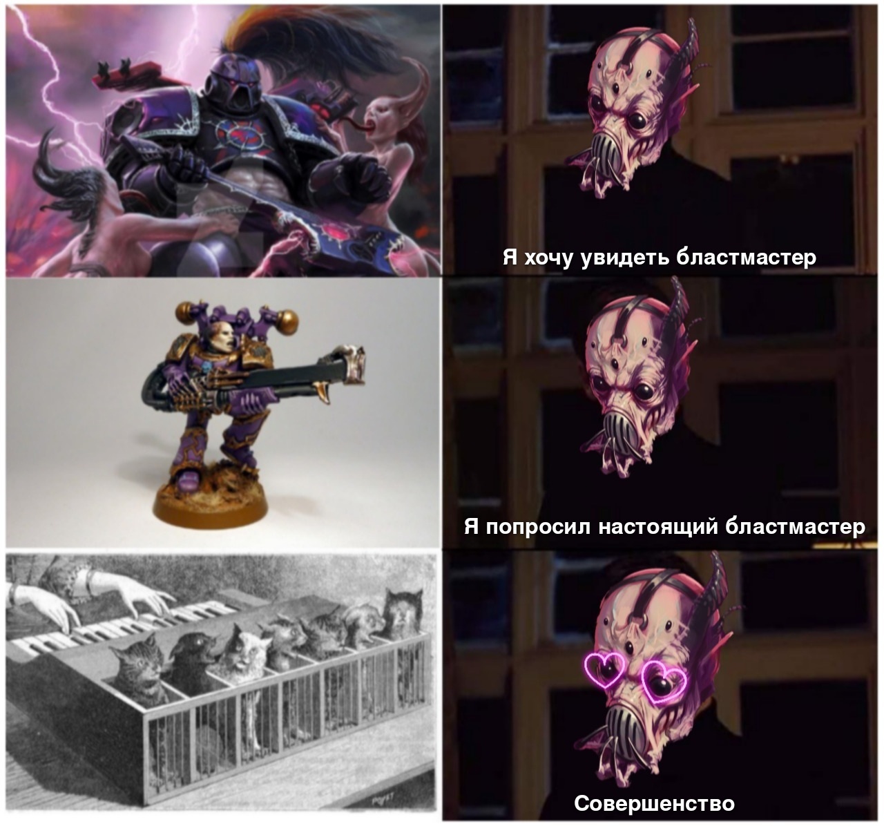 The Perfect Blastmaster - Warhammer 40k, Wh humor, Chaos space marines, Emperor`s Children, Memes, cat