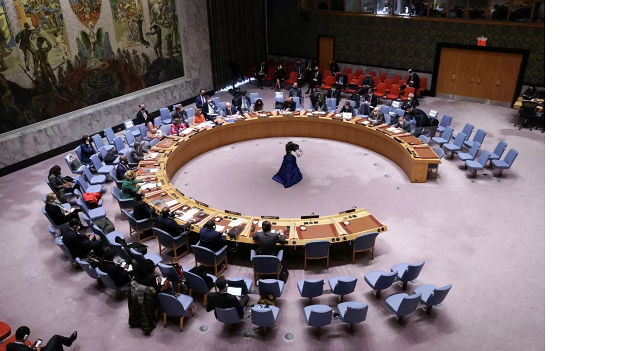 United Nations Security Council - My, Sevastopol, UN Security Council, Images