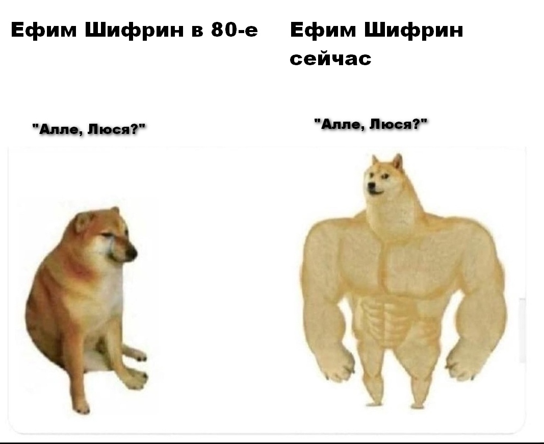 Ефим Шифрин - Ефим Шифрин, Юмор, Doge, Мемы, Было-Стало