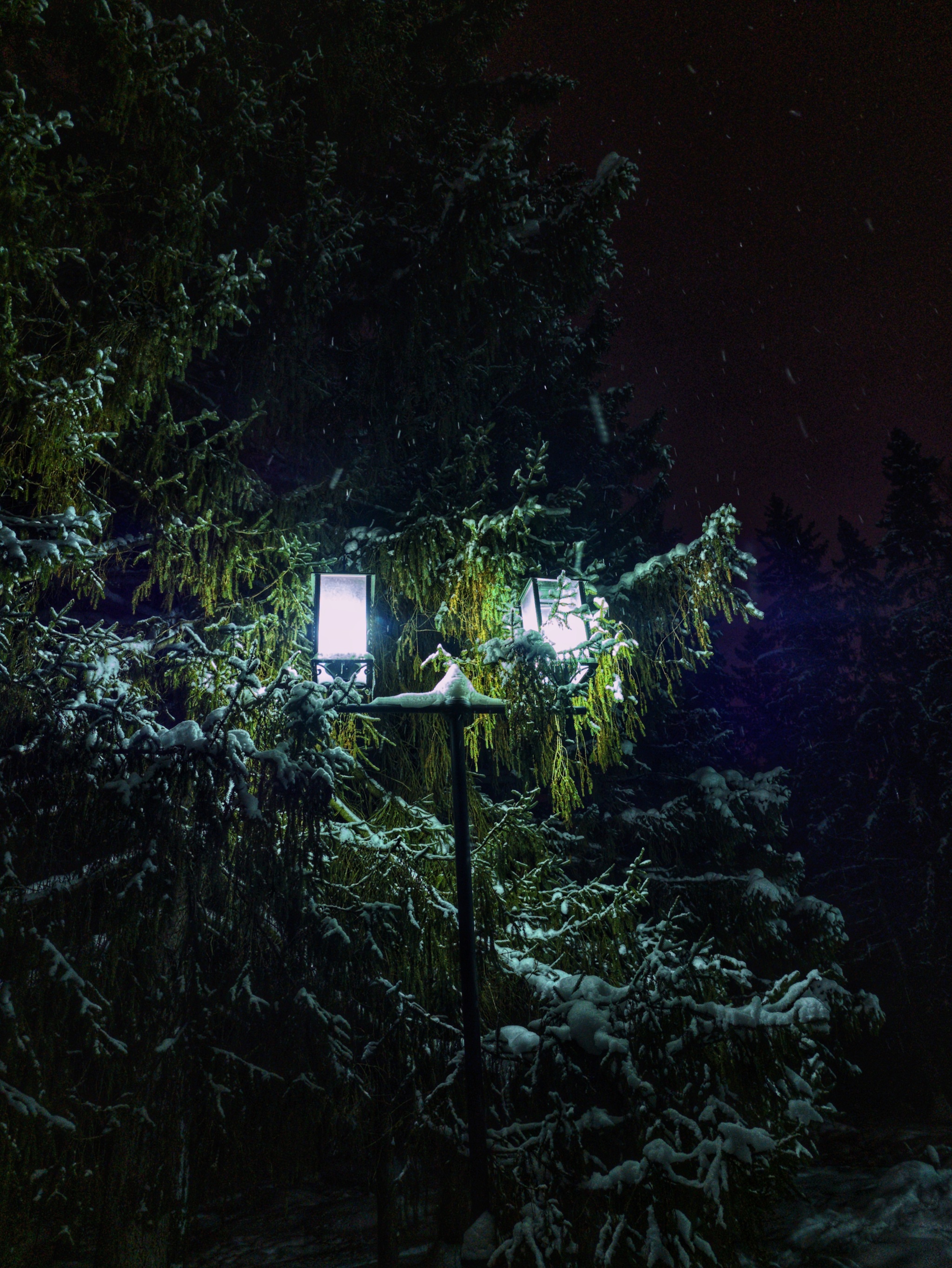 Winter Lantern (Oneplus 9 pro [RAW+Snapseed]) - My, Mobile photography, Winter, Snow, Lamp, Forest, Night