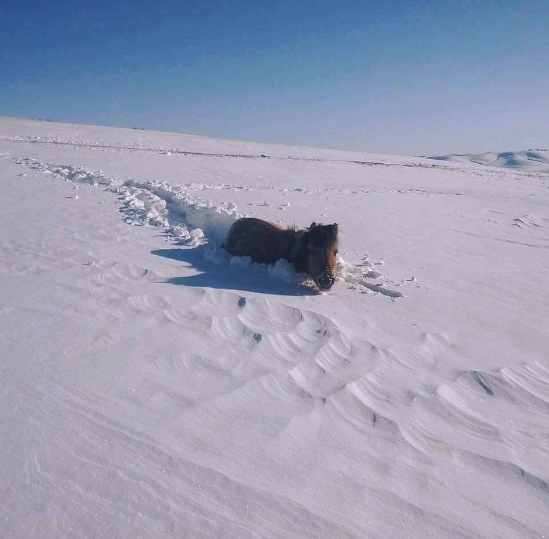 Mongols and General Frost - My, Archeology, История России, Rus, Mongolia, Mongol-Tatar yoke, Climate, freezing, GIF, Video, Longpost