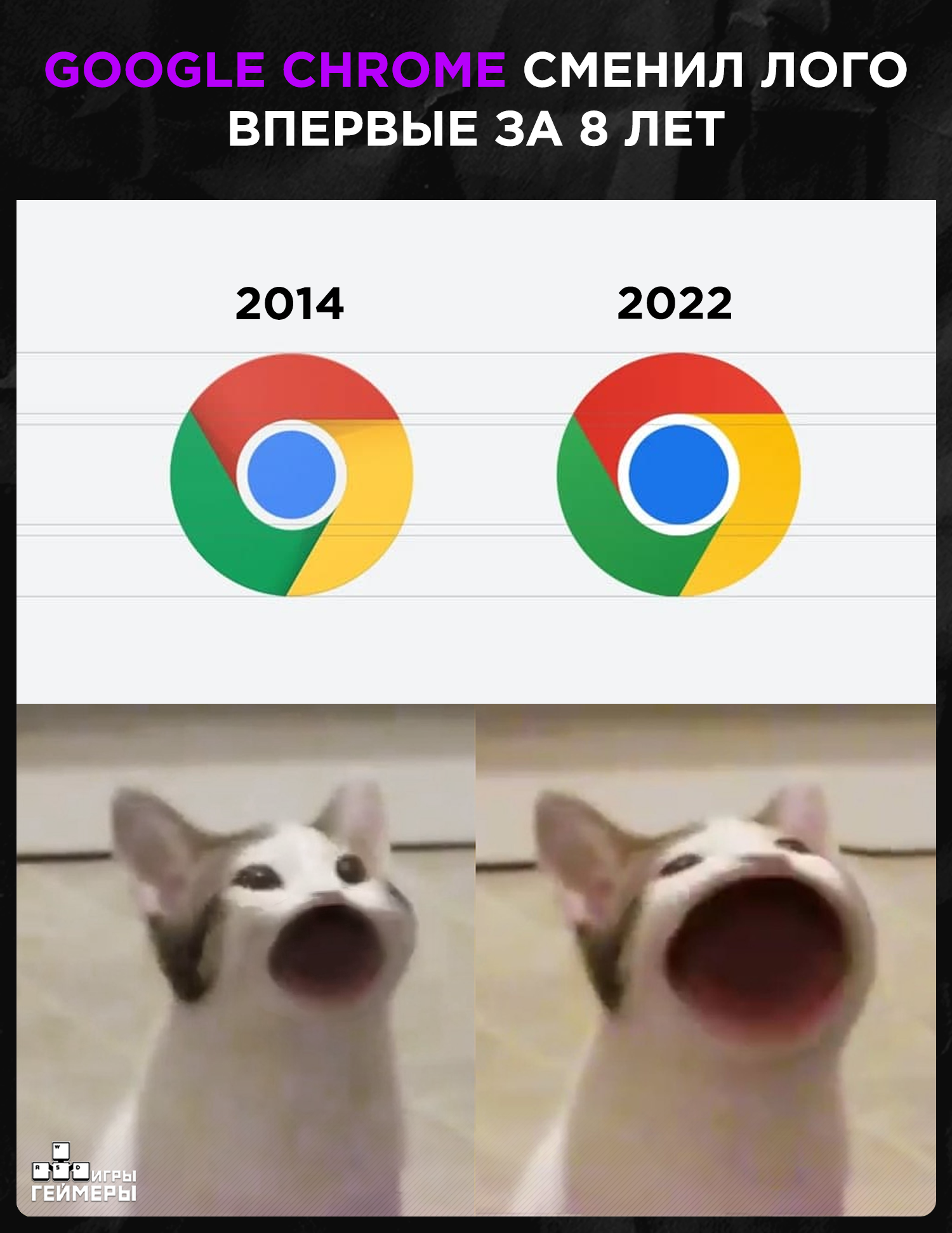 Вот это изменения! - Мемы, Google Chrome, Юмор, Кот, Photoshop, Новости, Картинка с текстом