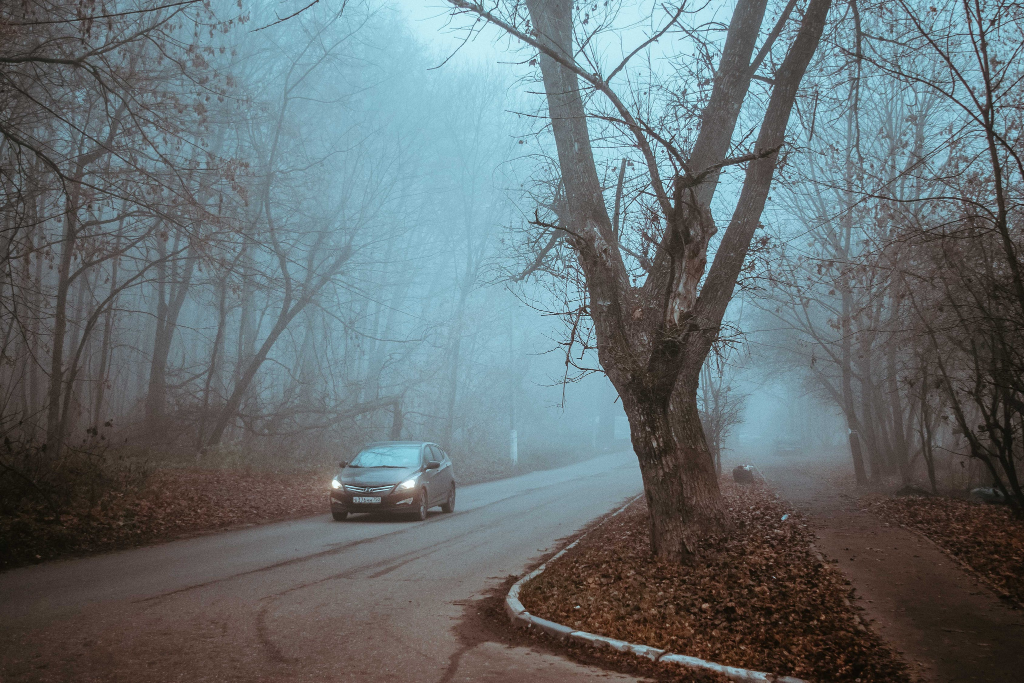 Fog - My, The photo, Canon, Autumn, Landscape, Fog, Longpost