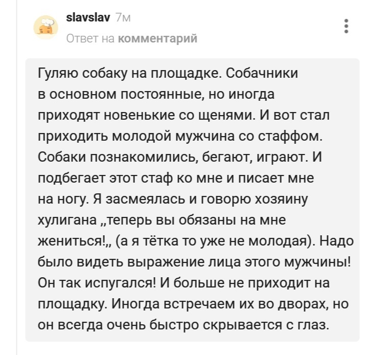 Почаще бы так настроение поднимали
 - Текст, Комментарии на Пикабу, Собака, Отношения, Юмор, Позитив, Истории из жизни, События, Мужчины, Мужчины и женщины, Девушки, Скриншот