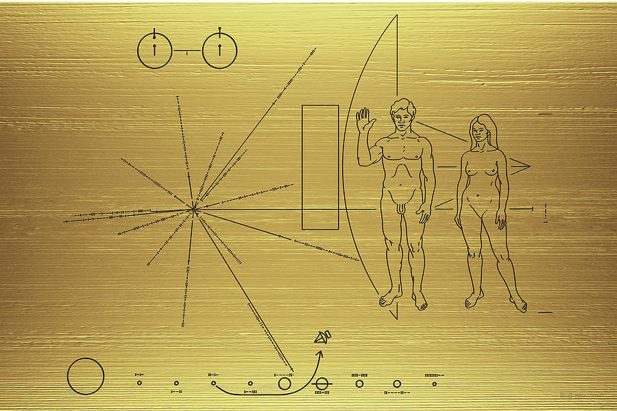 Dear aliens, there are only two sexes on our planet! - Message, Voyager Gold Plate, Voyager, Gender