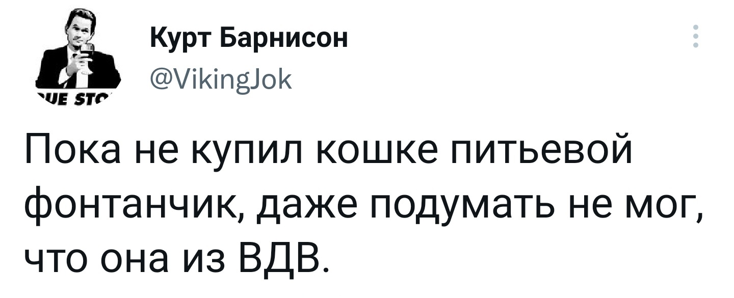 Фонтанчик - Моё, Twitter, Кот, ВДВ, Юмор, Скриншот