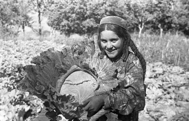 Old photos #227 - Story, The photo, A selection, Retro, Longpost, Black and white photo, Historical photo, the USSR