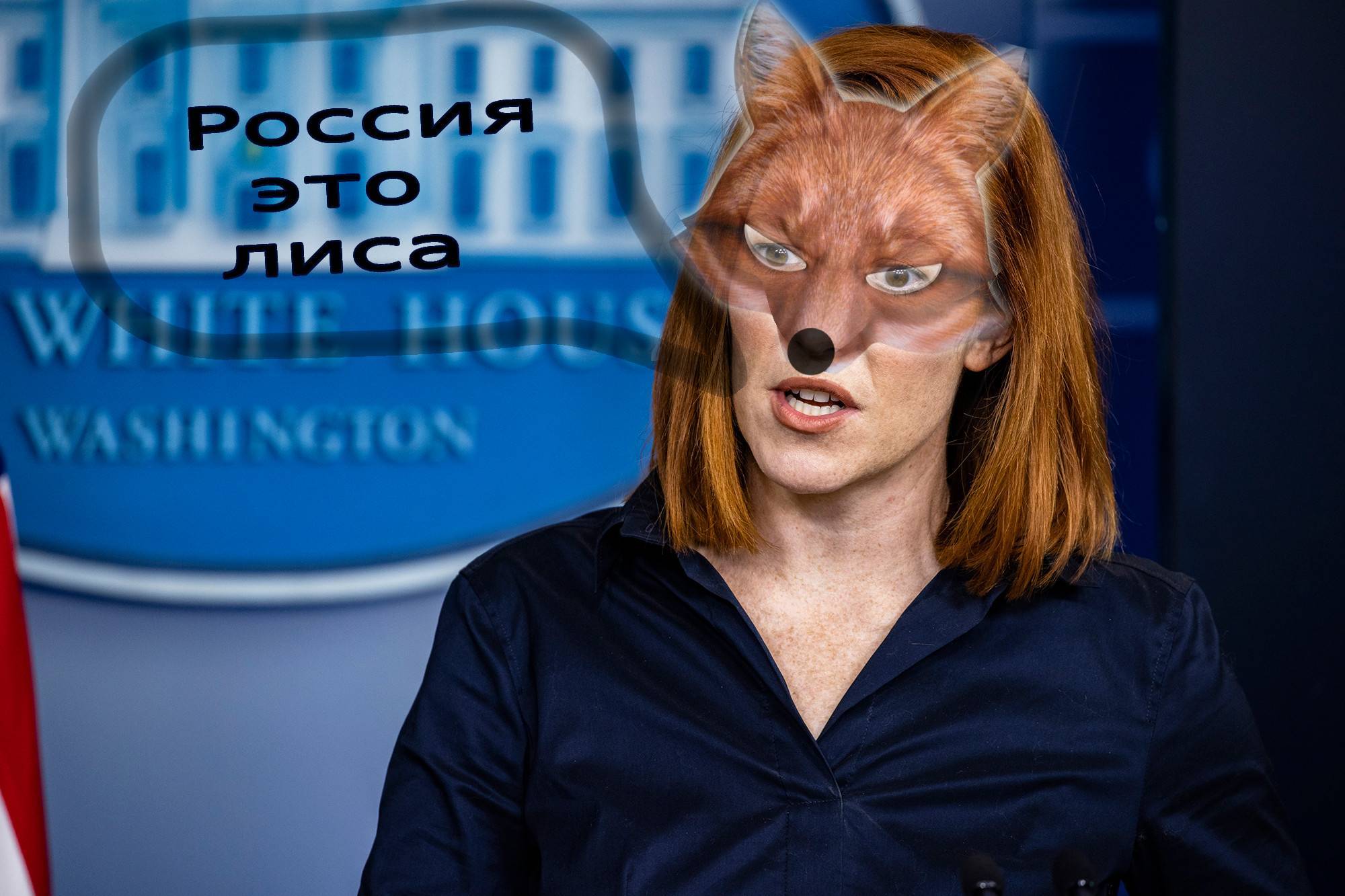 Рыжая плутовка | Пикабу