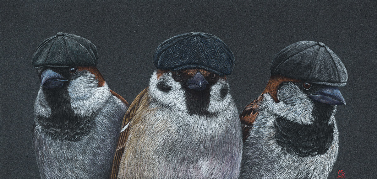 Peaky beaks / Sharp beaks - My, Drawing, Animalistics, Pastel, Birds, Birds in hats, Sparrow, Peaky Blinders