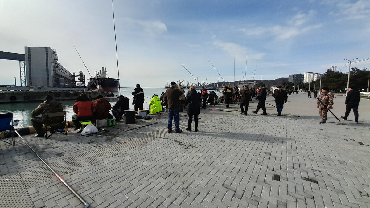 Горе одних - счастье для других. В Чёрное море попало сотни тонн красной  рыбы | Пикабу