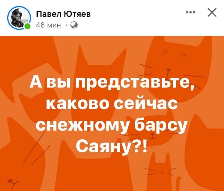 Continuation of the post In Novosibirsk, first falsified the election of the New Year's symbol, and then canceled - My, Politics, Elections, Novosibirsk, Zoo, Longpost, Reply to post, Batu Orangutan