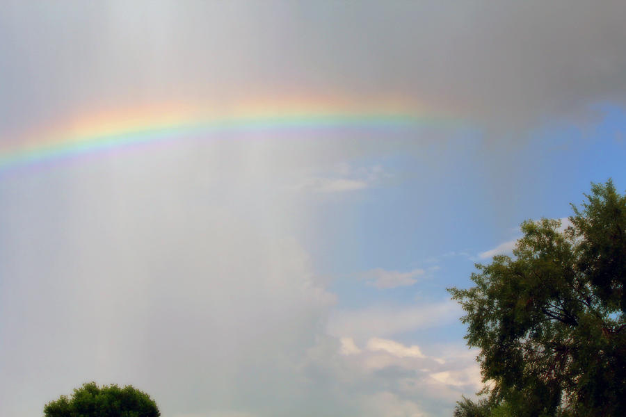 Rainbow - Радуга, Фотография