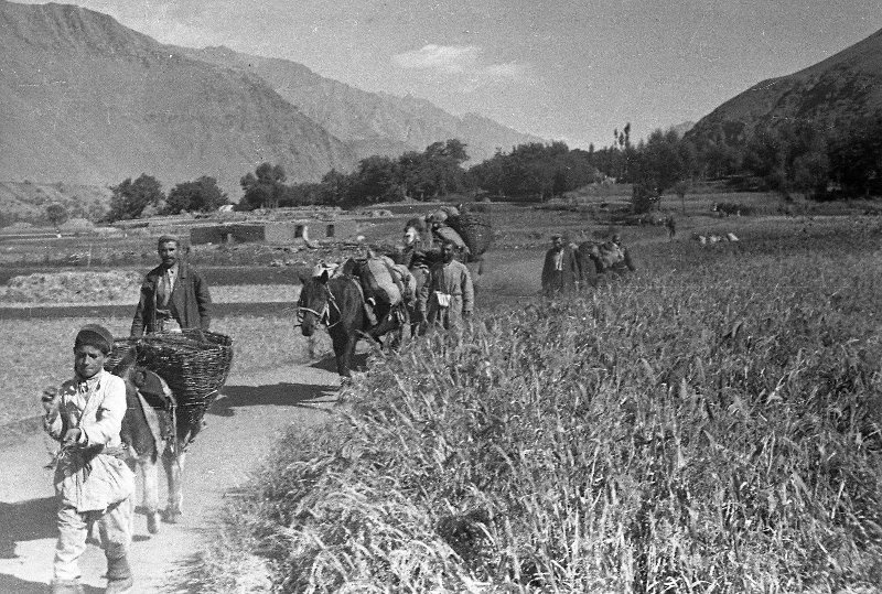 Old photos #228 - Story, The photo, A selection, Retro, Longpost, Black and white photo, Historical photo, the USSR