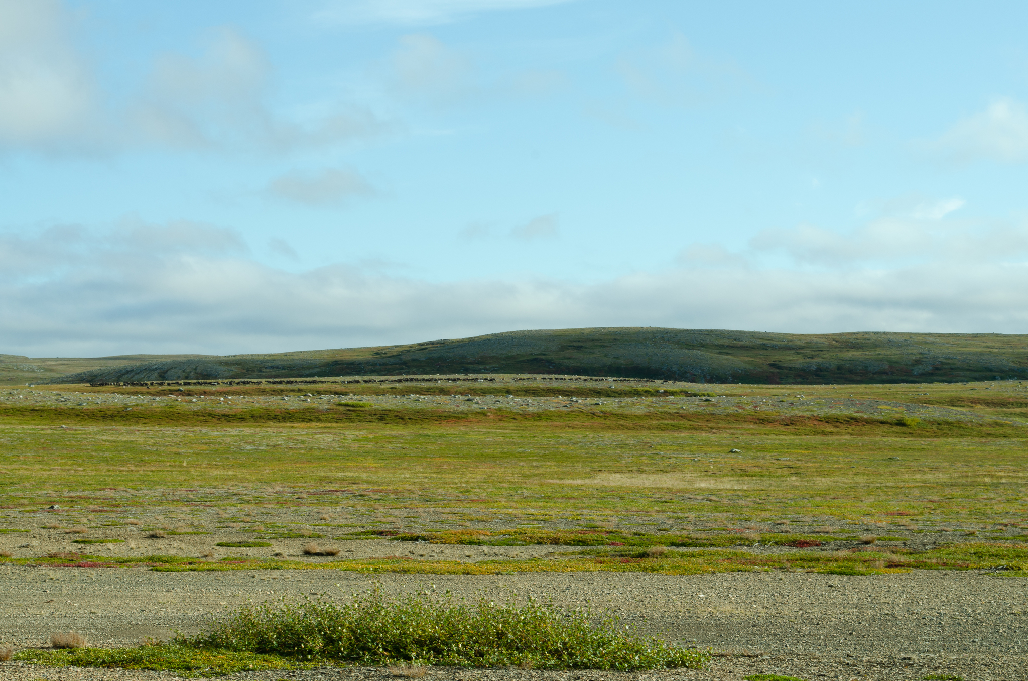 Kola. Medium and Fisherman in 2 days! - My, Travel across Russia, Travels, Nature, Mountain tourism, Waterfall, Туристы, Landscape, Lake, The nature of Russia, Kola Peninsula, Aerial photography, River, Карелия, North, Peninsula Middle, Video, Longpost, Video blog