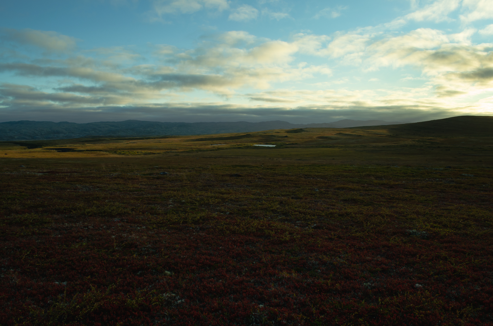 Kola. Medium and Fisherman in 2 days! - My, Travel across Russia, Travels, Nature, Mountain tourism, Waterfall, Туристы, Landscape, Lake, The nature of Russia, Kola Peninsula, Aerial photography, River, Карелия, North, Peninsula Middle, Video, Longpost, Video blog