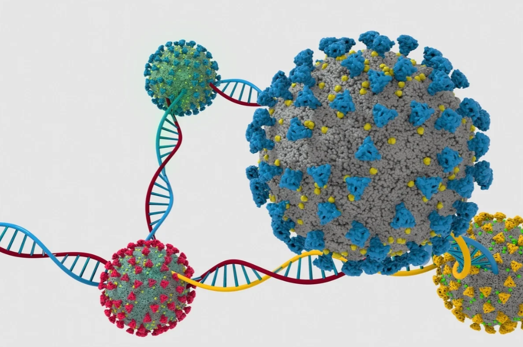 Omicron. What is the virus aiming for? - My, Coronavirus, Health, The medicine, Vaccine, Anti-vaccines, Vaccination, Omicron, Pandemic, Epidemic, Longpost