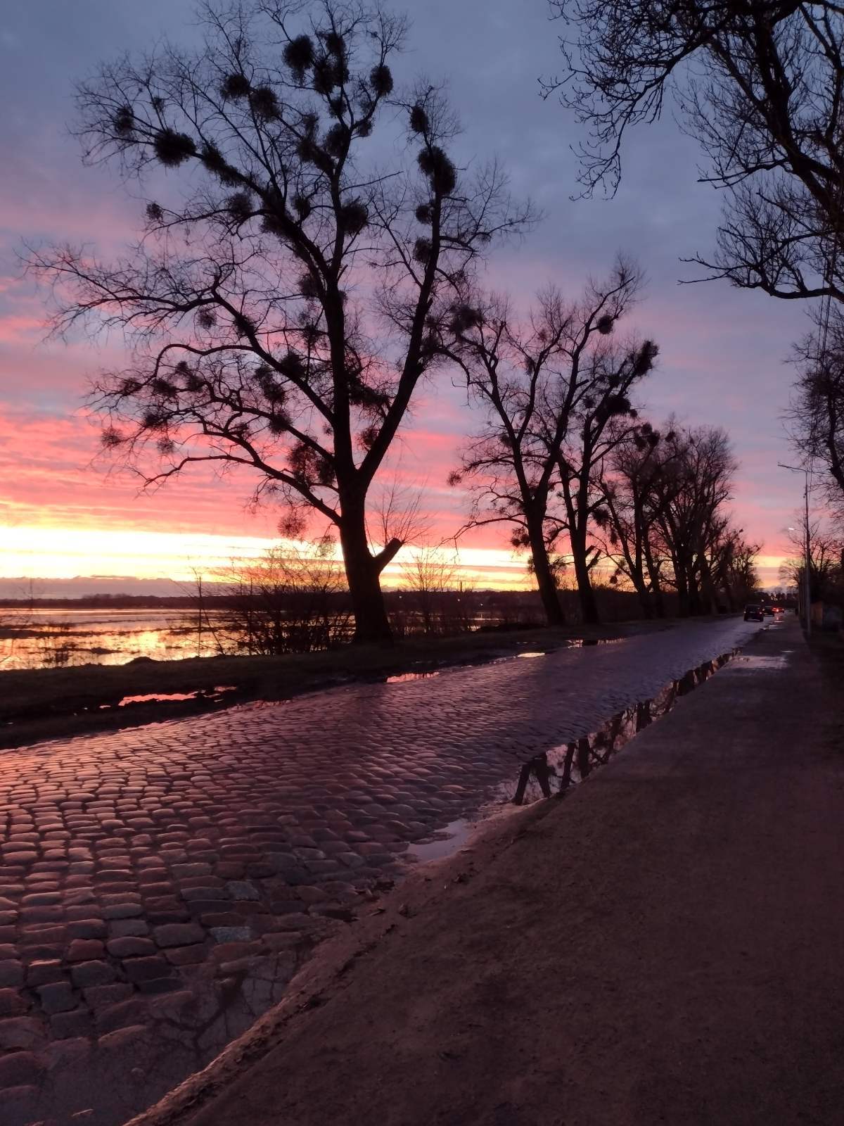 Morning in the Baltics - My, Mobile photography, dawn, Nature, Paving stones, Spill, Sky, Clouds, Longpost, Baltics