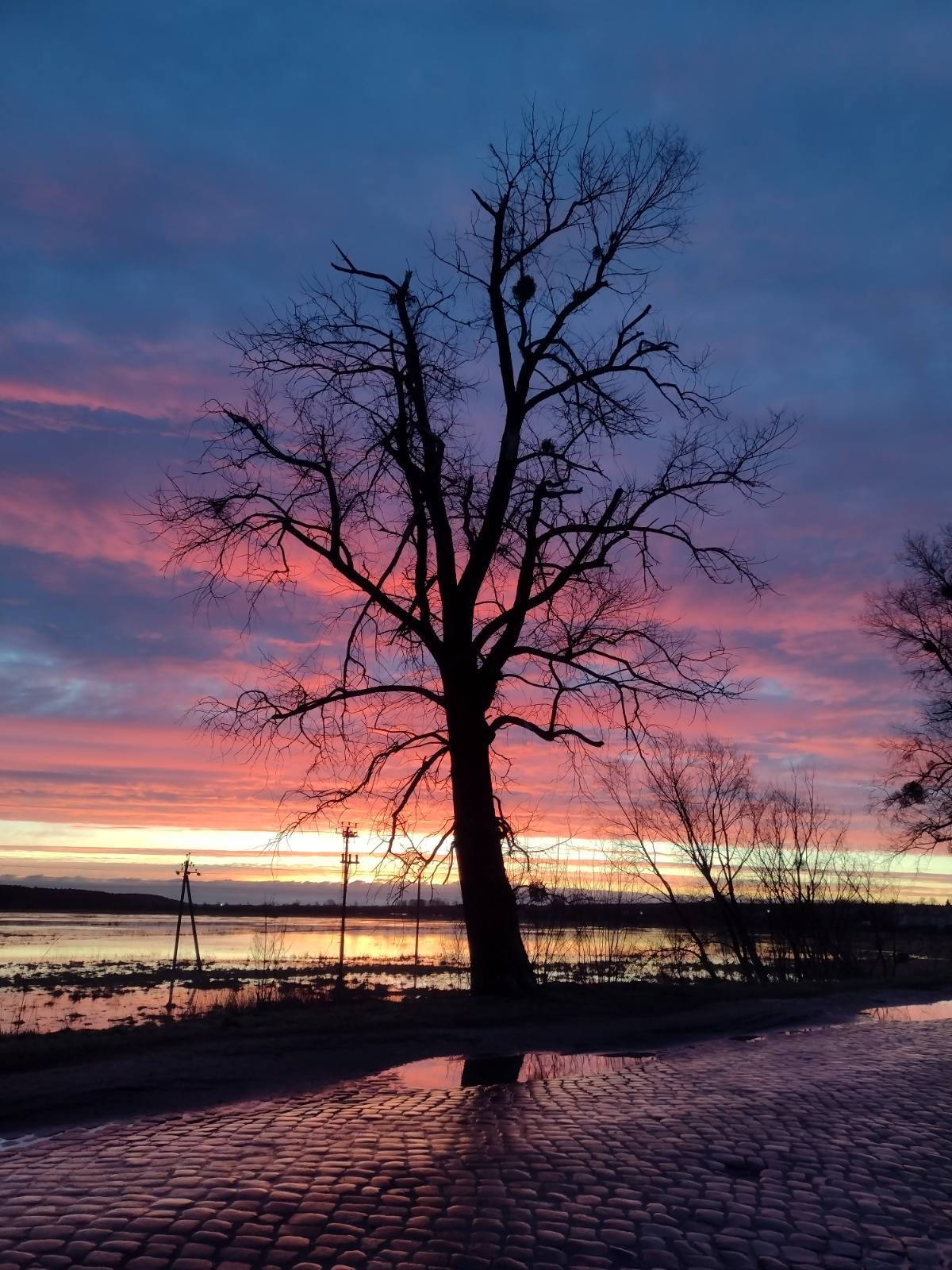 Morning in the Baltics - My, Mobile photography, dawn, Nature, Paving stones, Spill, Sky, Clouds, Longpost, Baltics