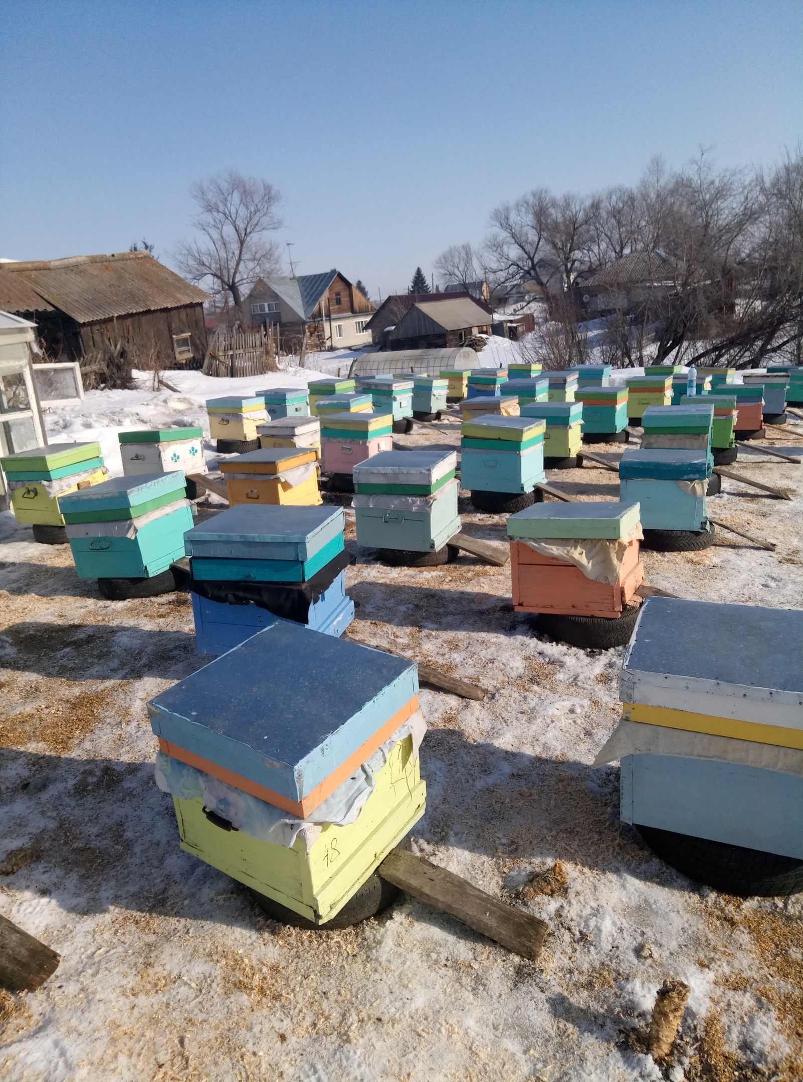 When and why does the beekeeper feed the bees? - My, Apiary, Bees, Honey, Nature, Personal space, Personal subsidiary farm, Longpost, Beekeeping