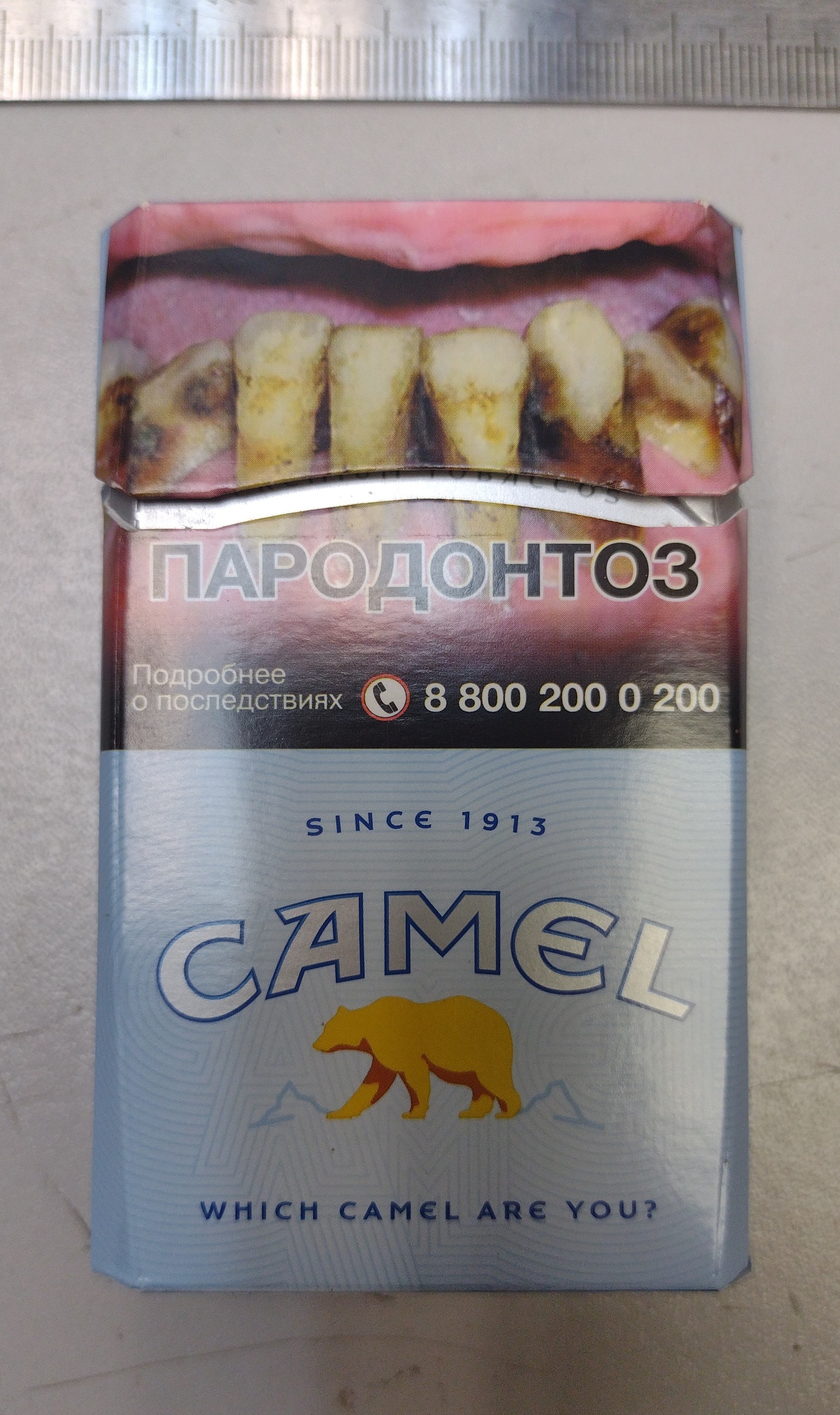 Camel or bear? - My, Cigarettes, camel, Camels, The Bears, Smoking